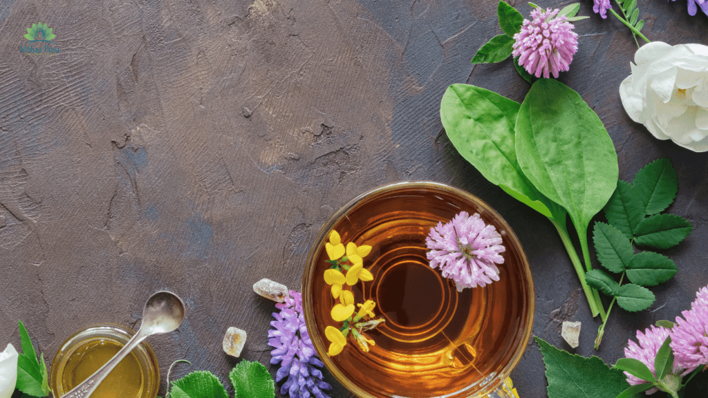 Cabinet de naturopathie 7 rue de l'école Vihiers