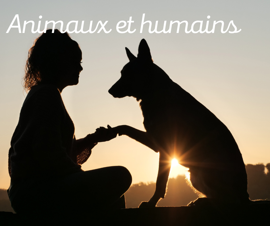 Praticienne ThetaHealing à Vihiers